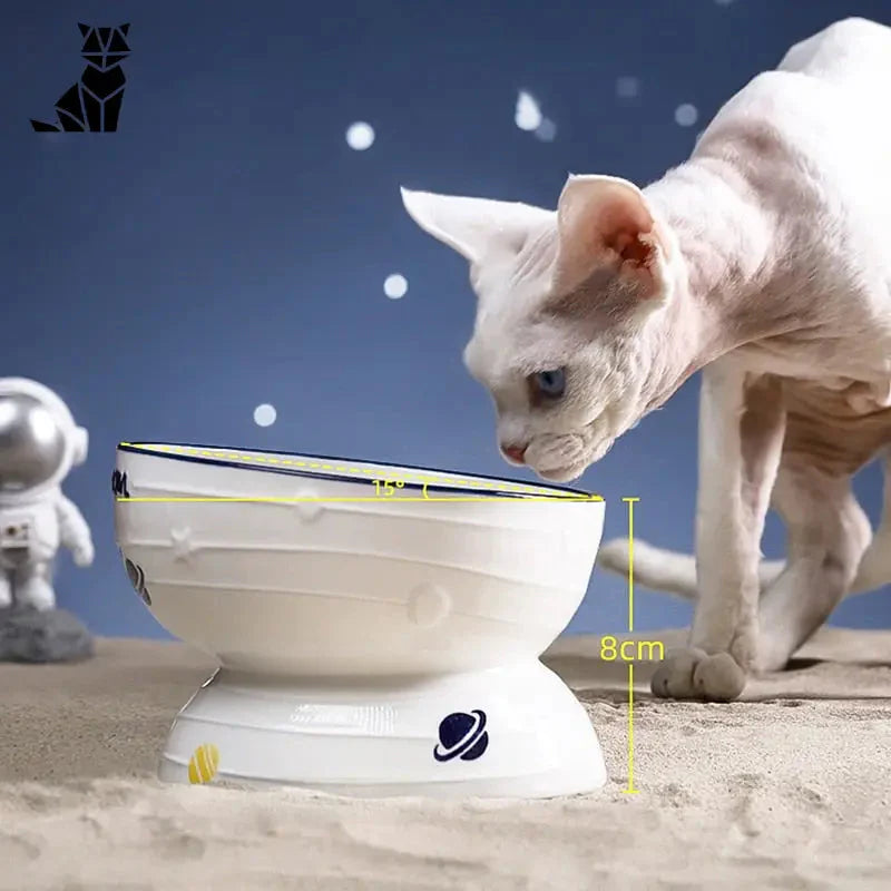 Chat debout sur une cuvette de toilette profitant de la cuvette Optimal Food Comfort Bowl pour une protection alimentaire maximale