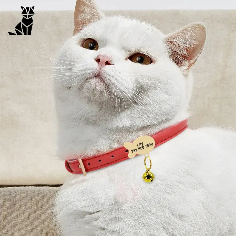 Chat blanc avec collier rouge et étiquette jaune - Collier Personnalisé pour Chat, Élegance et Sécurité